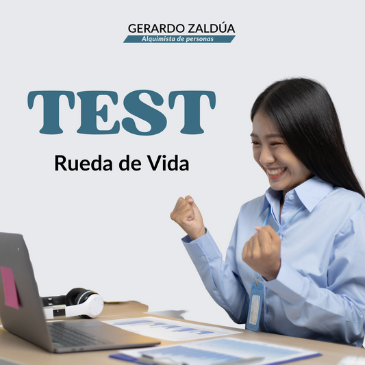 AUTOANÁLISIS: RUEDA DE LA VIDA